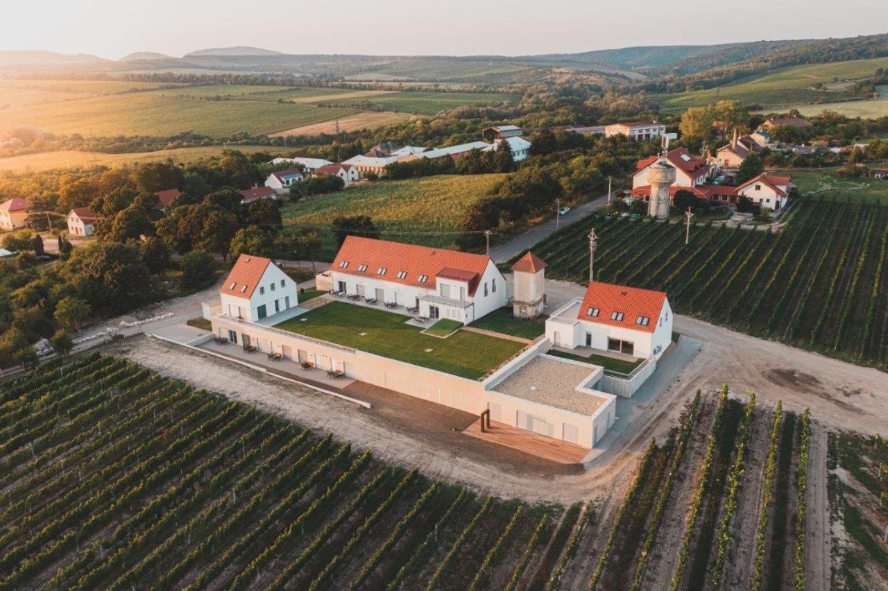 Apartment Muslovske Vinohrady Mikulov