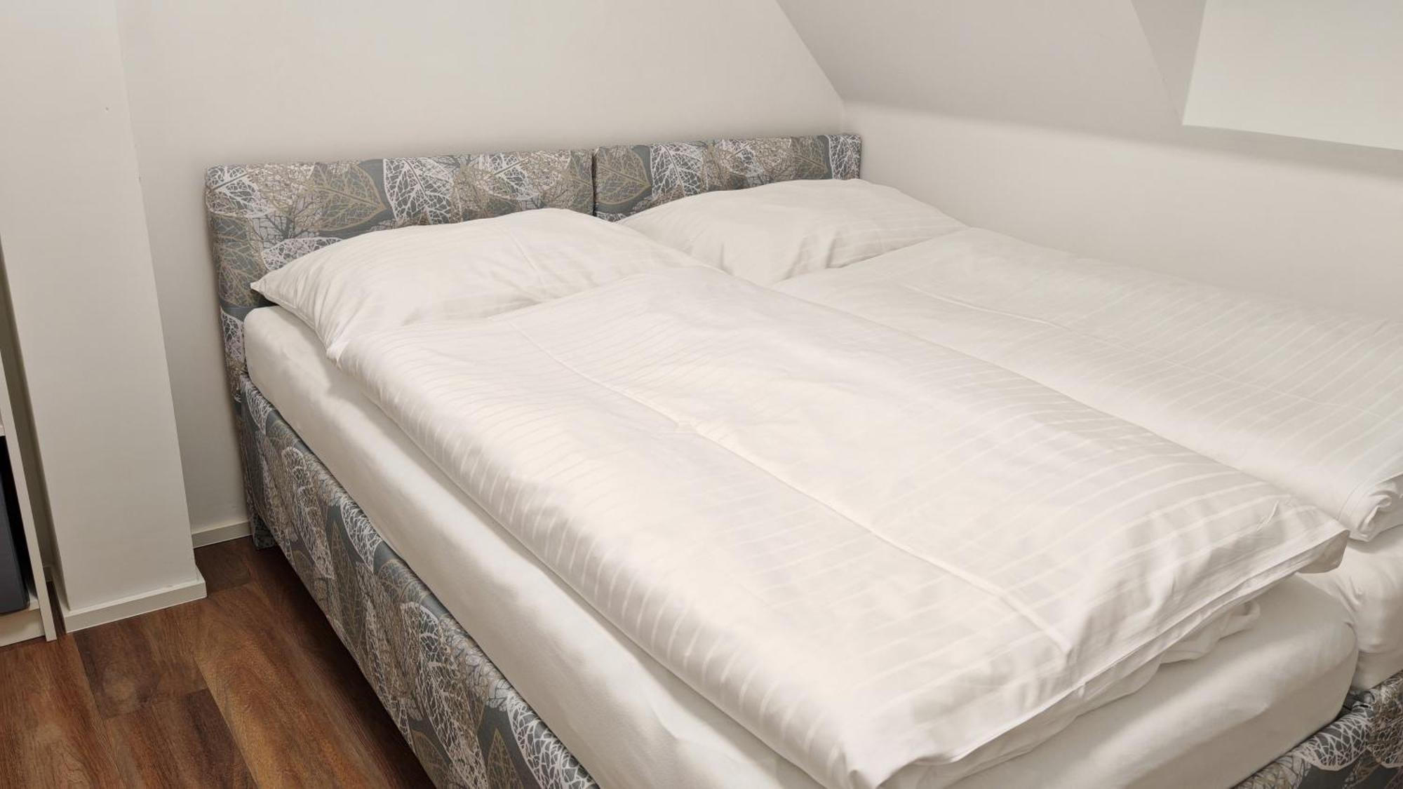 Apartment Muslovske Vinohrady