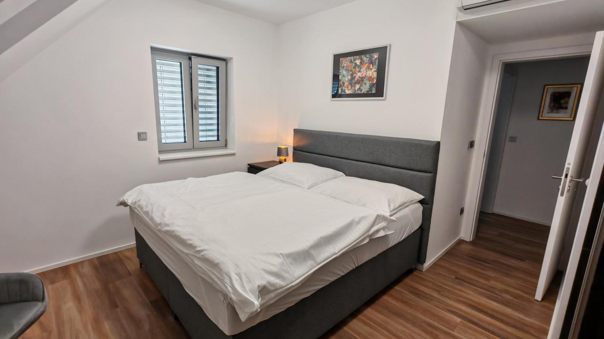 Apartment Muslovske Vinohrady