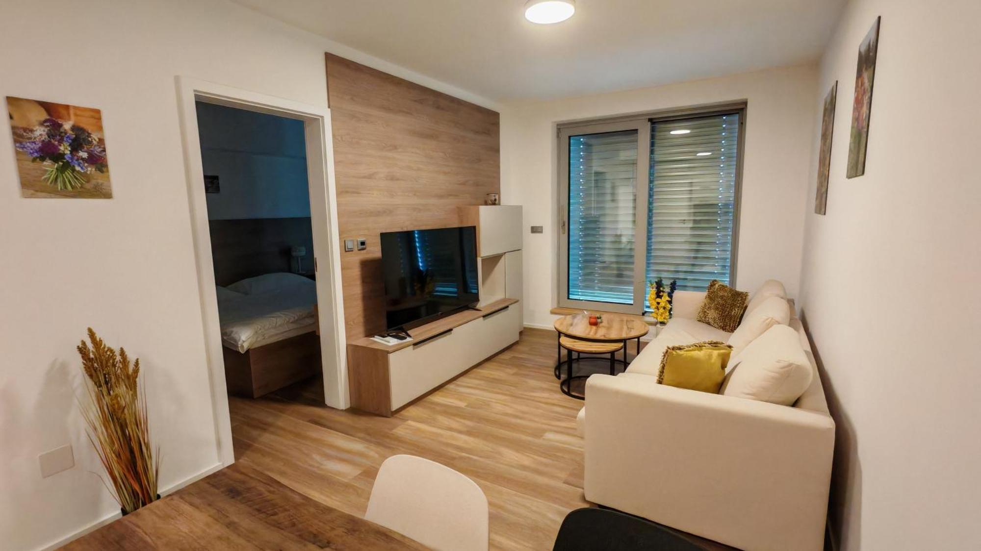 Muslovske Vinohrady Apartment *