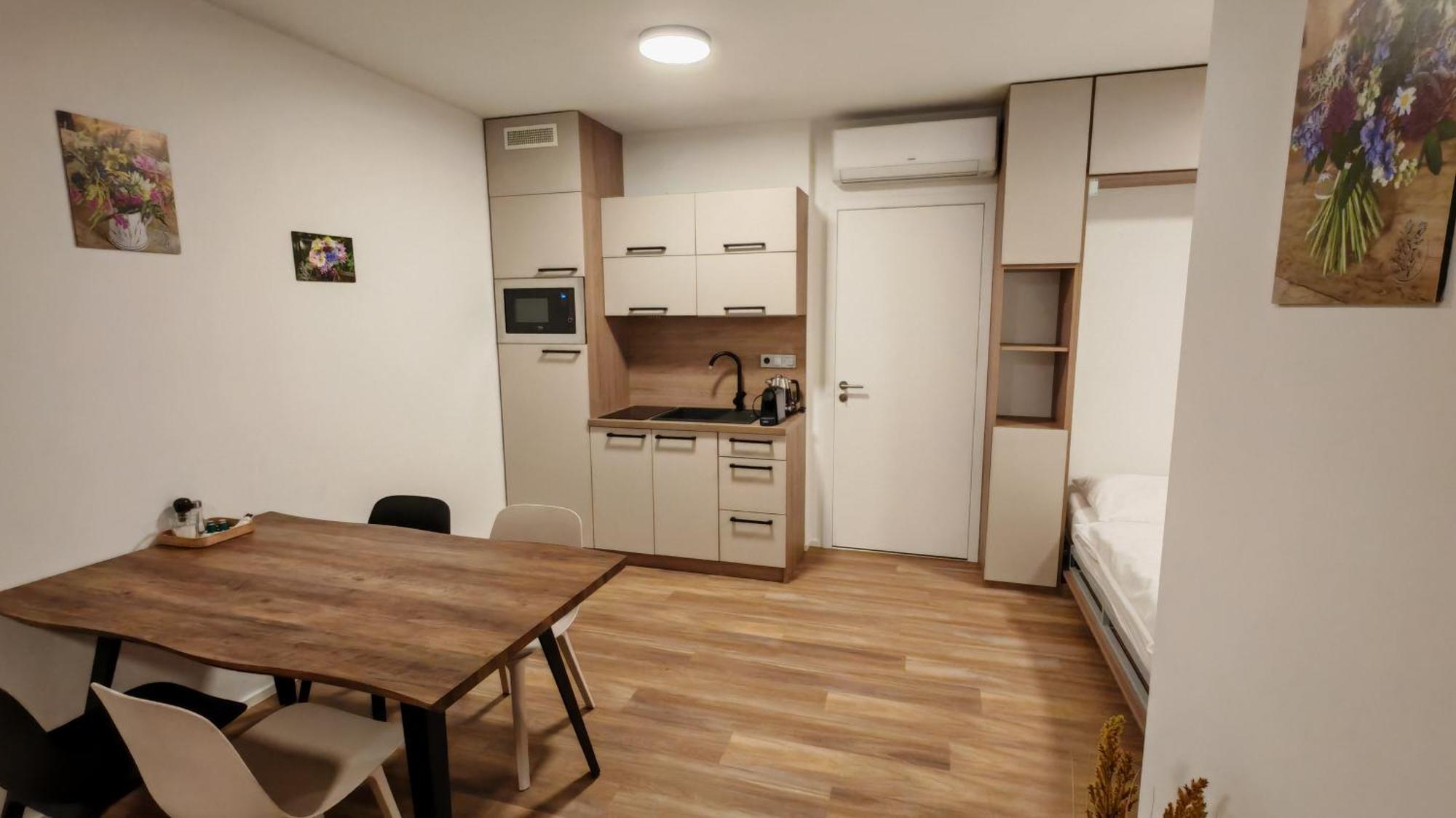 Muslovske Vinohrady Apartment *
