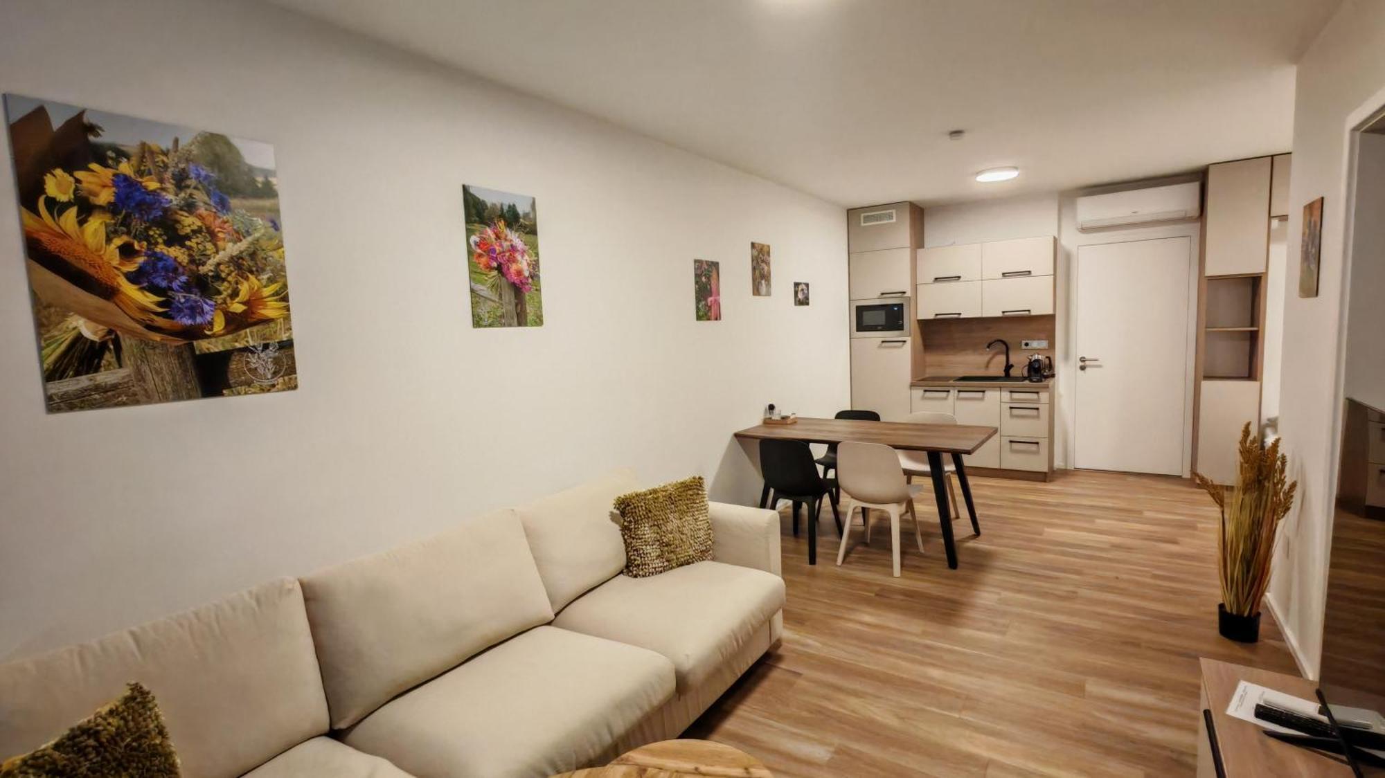 Muslovske Vinohrady Apartment