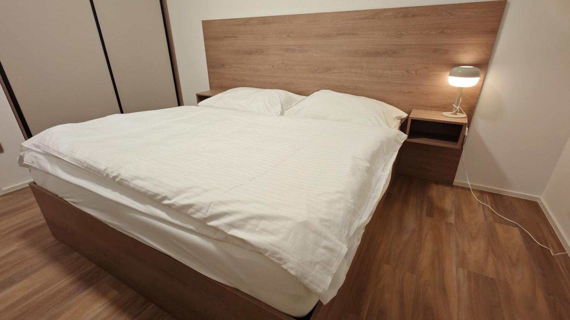 Apartment Muslovske Vinohrady *