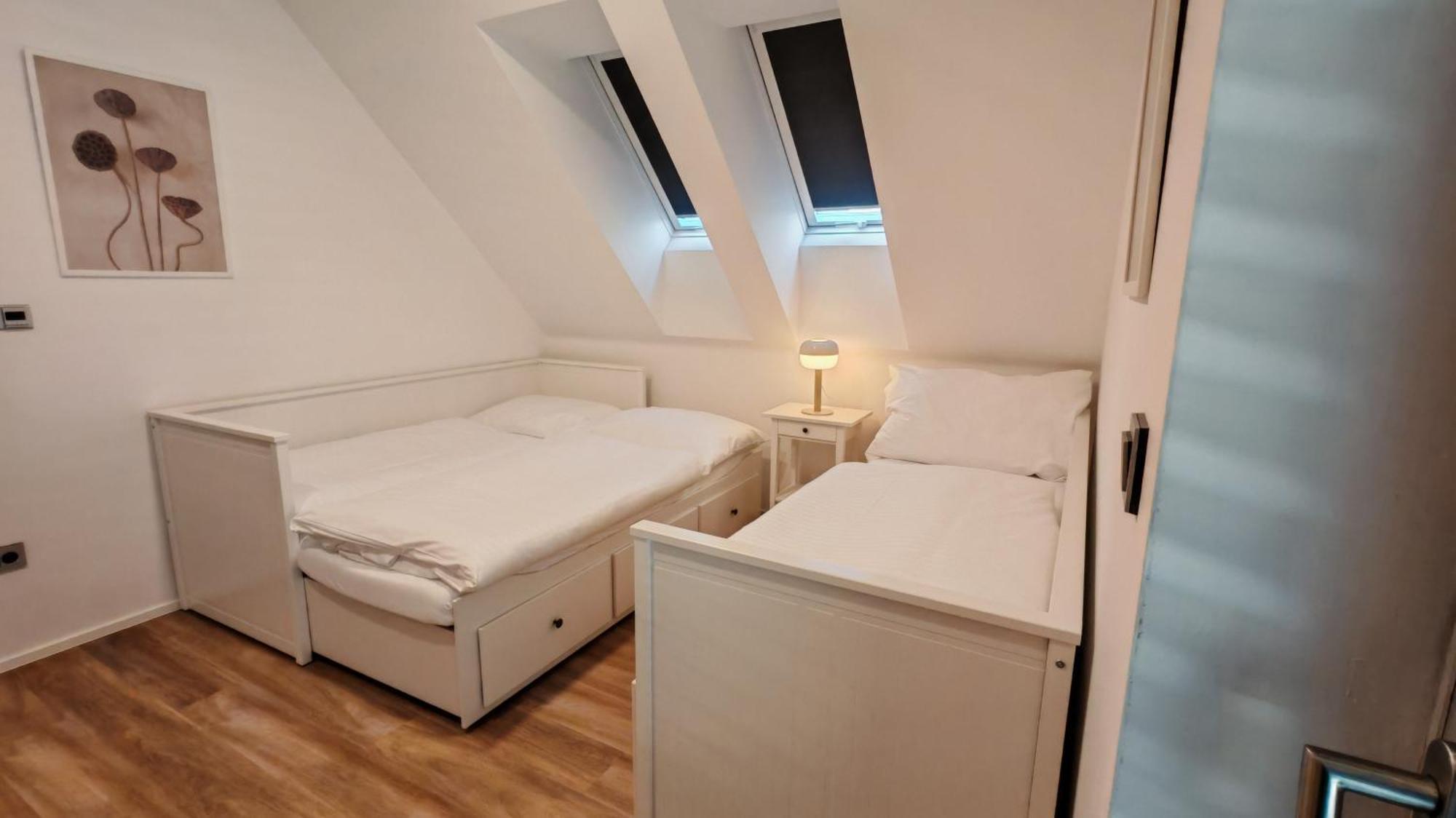 Apartment Muslovske Vinohrady